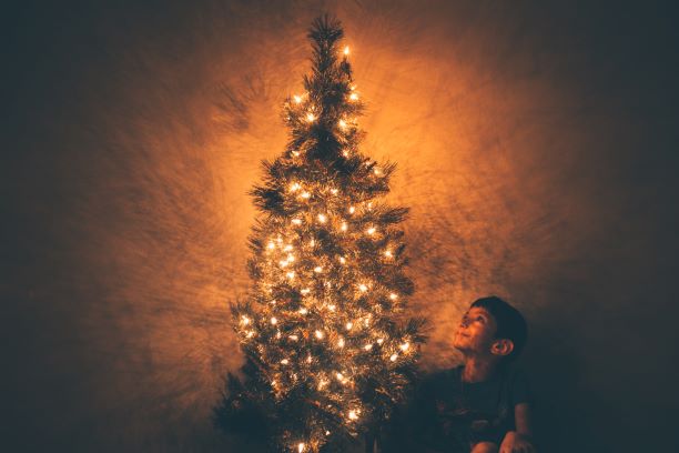 A child looking up at a Christmas tree